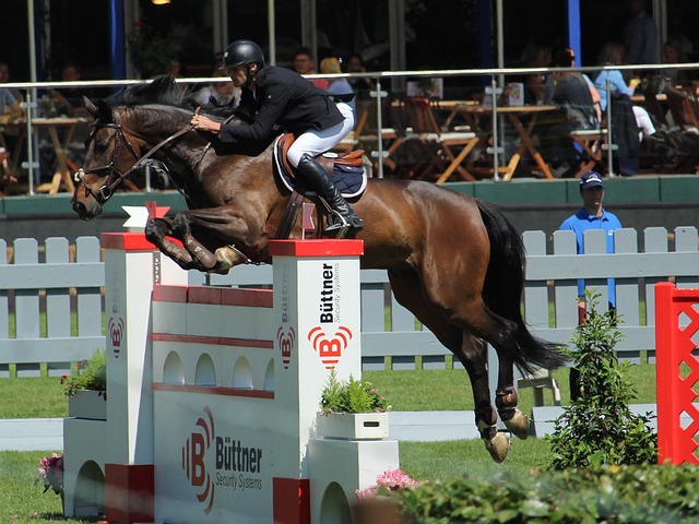 已经成为比 已经成为比