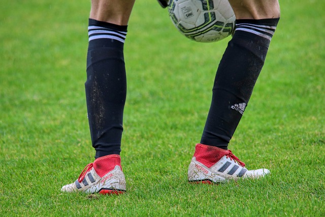 来不断得到 来不断得到