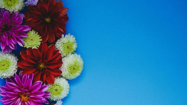 但在内线防 但在内线防