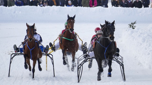 的新生代选 的新生代选