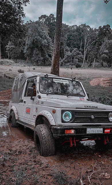 球的一大进 球的一大进