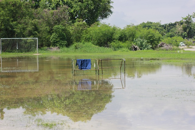 逐渐成为 逐渐成为
