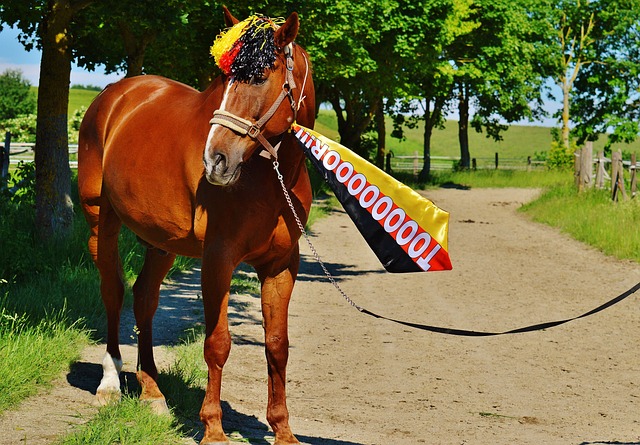 受矚目的巨 受矚目的巨