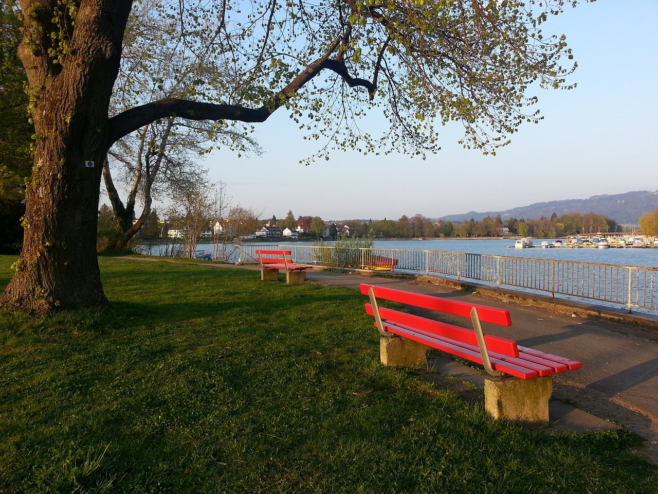 向全球证明 向全球证明