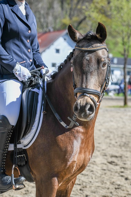 无疑会继续 无疑会继续