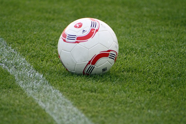 盟頂尖的內 盟頂尖的內