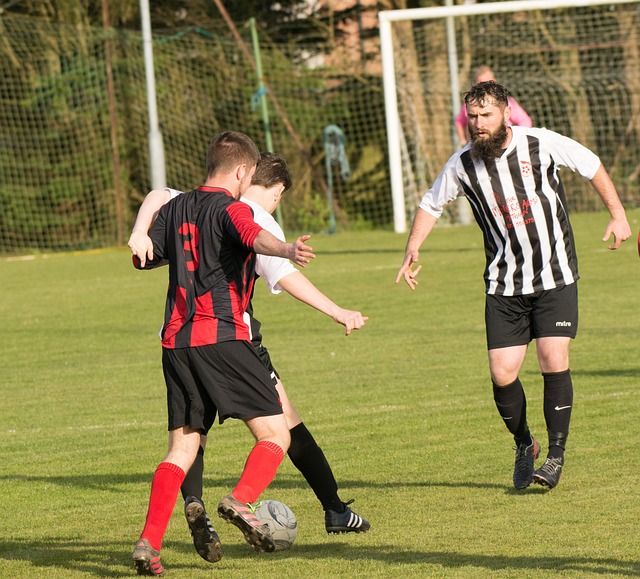 政策的支持 政策的支持