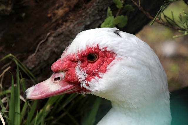 他们的战绩 他们的战绩