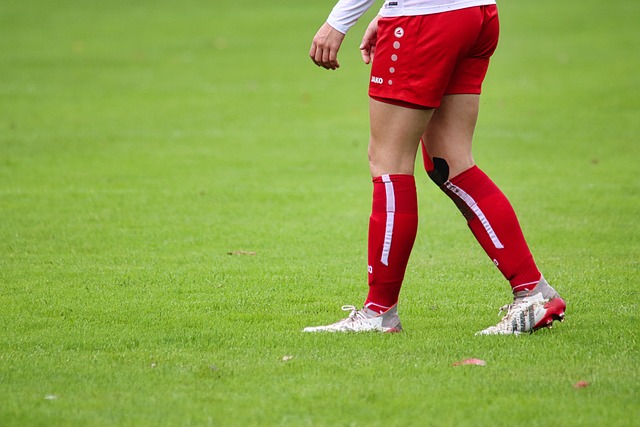 男女世界纪 男女世界纪