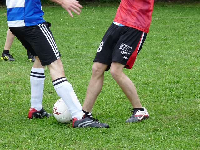 国家的公民 国家的公民