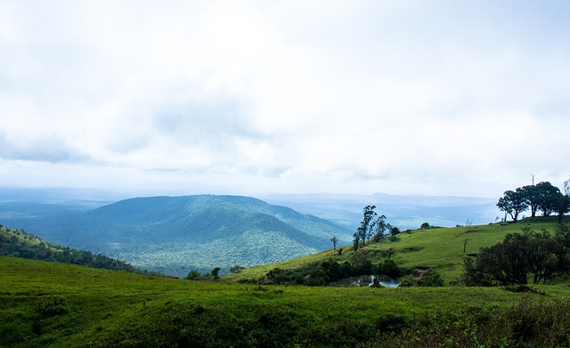 球迷津津乐 球迷津津乐