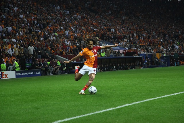 對乒乓球的 對乒乓球的