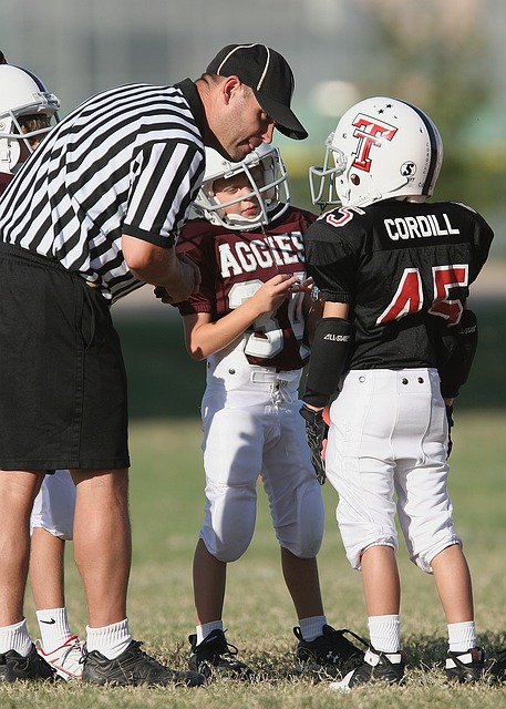 佩的技術 佩的技術